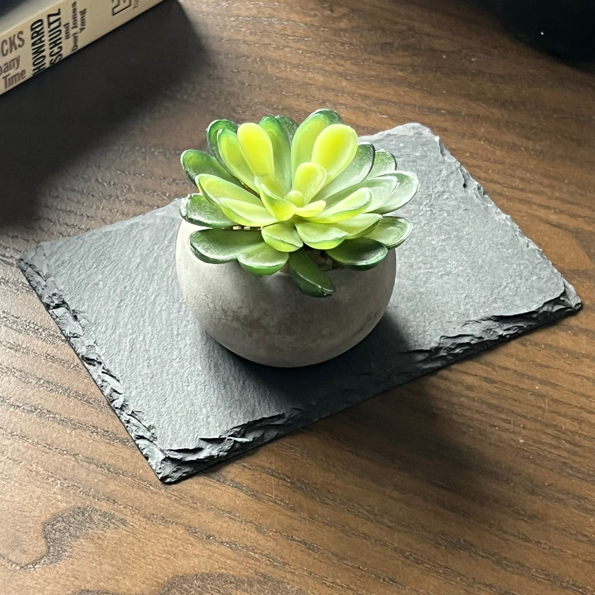 Mini Plant