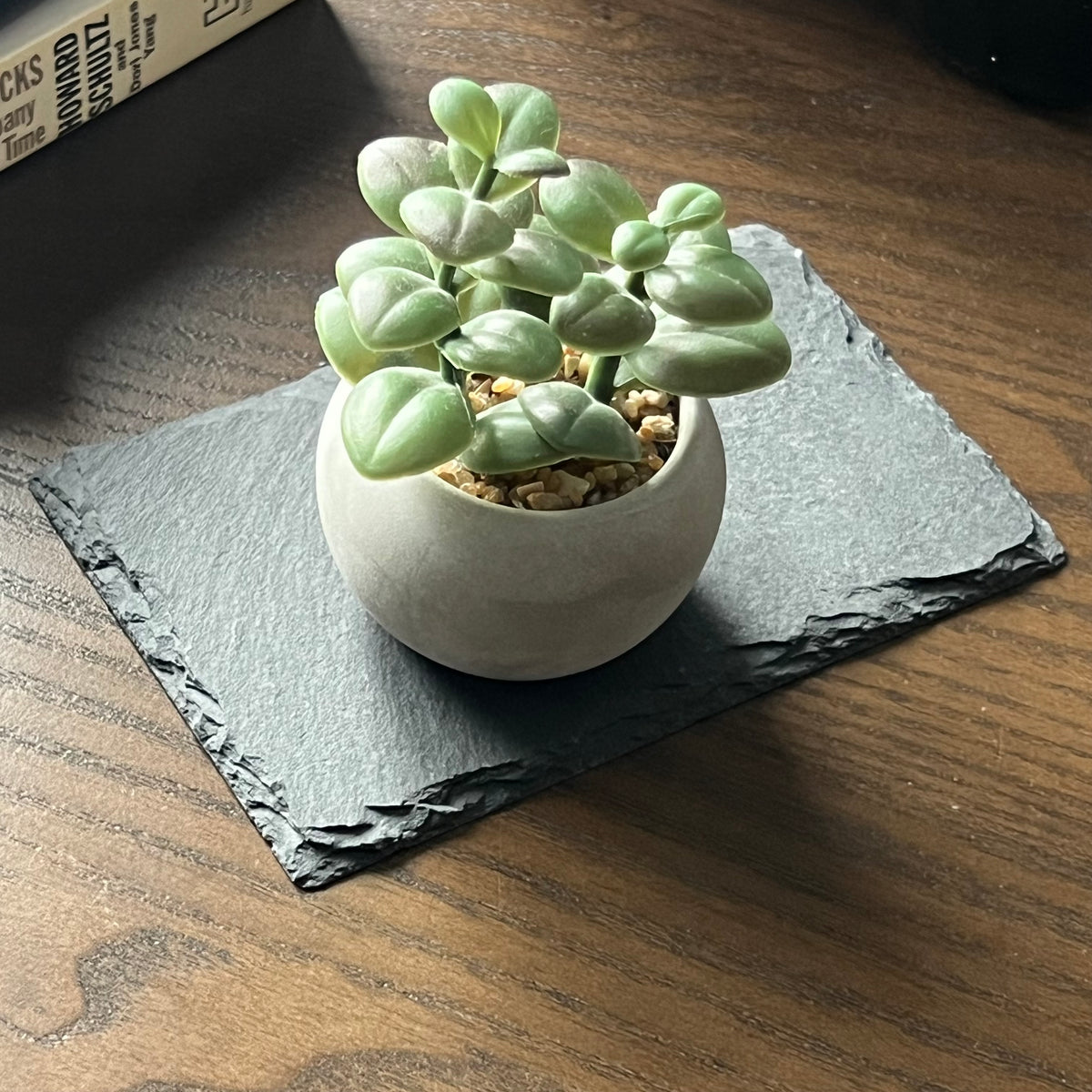 Mini Plant
