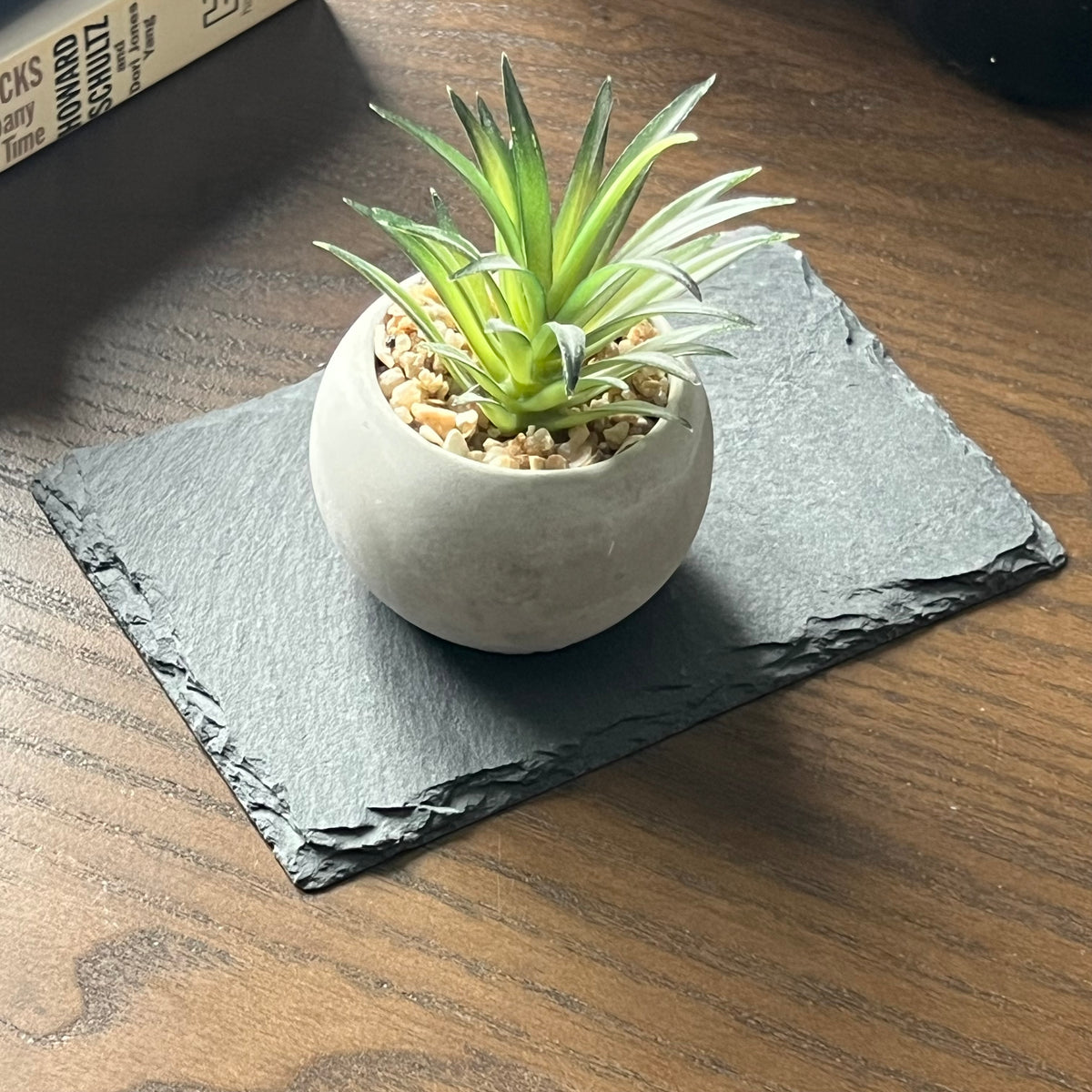 Mini Pflanze